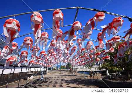 柳井 金魚ちょうちん祭り3157 柳井 金魚ちょうちん祭り3157 141062735