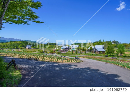 爽快な青空と初夏の高原リゾート 観光農園の美しい風景 爽快な青空と初夏の高原リゾート 観光農園の美しい風景 141062779