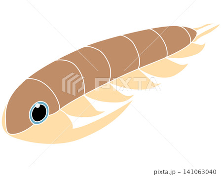 カンブリア紀の三葉虫(パラドキシデス)のデフォルメイラスト カンブリア紀の三葉虫(パラドキシデス)のデフォルメイラスト 141063040