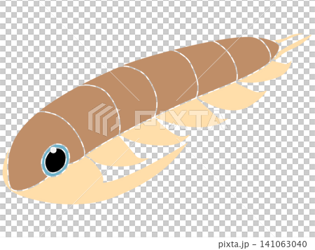 A stylized illustration of a Cambrian trilobite (Paradoxides). 141063040
