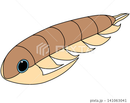 カンブリア紀の三葉虫(パラドキシデス)のデフォルメイラスト カンブリア紀の三葉虫(パラドキシデス)のデフォルメイラスト 141063041