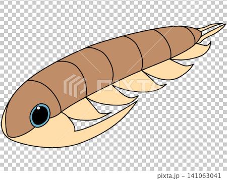 カンブリア紀の三葉虫(パラドキシデス)のデフォルメイラスト カンブリア紀の三葉虫(パラドキシデス)のデフォルメイラスト 141063041