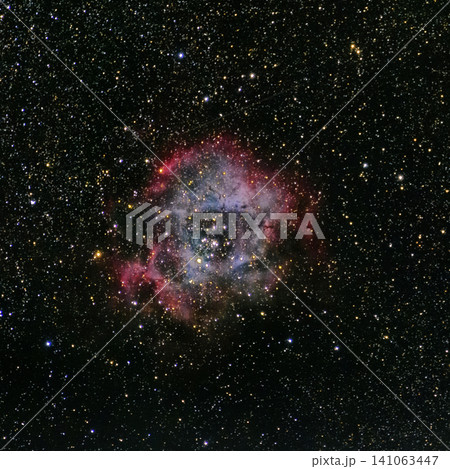 秋の天体写真 世界一巨大な薔薇 バラ星雲 秋の天体写真 世界一巨大な薔薇 バラ星雲 141063447