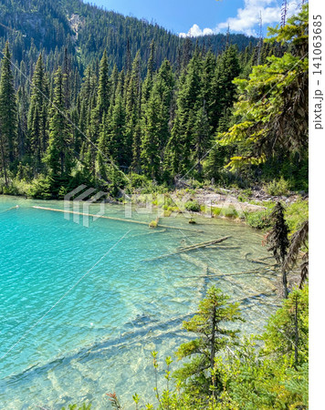 ブリティッシュコロンビア州 Joffre Lakeの透明な湖岸 ブリティッシュコロンビア州 Joffre Lakeの透明な湖岸 141063685