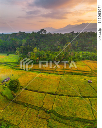 Beautiful panoramic aerial view of terraced rice fields at sunrise in Indonesia, surrounded by lush tropical greenery and palm trees Beautiful panoramic aerial view of terraced rice fields at sunrise in Indonesia, surrounded by lush tropical greenery and palm trees 141063974