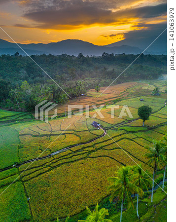 Beautiful panoramic aerial view of terraced rice fields at sunrise in Indonesia, surrounded by lush tropical greenery and palm trees Beautiful panoramic aerial view of terraced rice fields at sunrise in Indonesia, surrounded by lush tropical greenery and palm trees 141063979