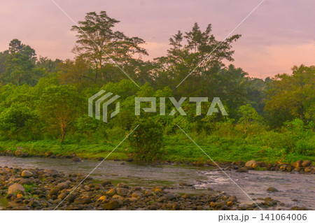 Beautiful panoramic aerial view of terraced rice fields at sunrise in Indonesia, surrounded by lush tropical greenery and palm trees Beautiful panoramic aerial view of terraced rice fields at sunrise in Indonesia, surrounded by lush tropical greenery and palm trees 141064006