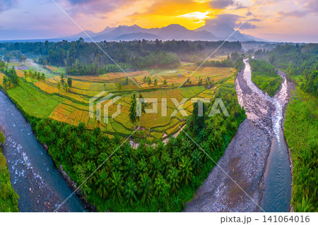 Beautiful panoramic aerial view of terraced rice fields at sunrise in Indonesia, surrounded by lush tropical greenery and palm trees Beautiful panoramic aerial view of terraced rice fields at sunrise in Indonesia, surrounded by lush tropical greenery and palm trees 141064016