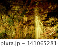 秋の夜長を幻想的に彩る箕面大滝の紅葉ライトアップ 141065281