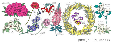 様々な花のグラフィック素材(シャクナゲ、梨、ポピー、アスター、バーベナ、フクシア、金魚草、ミモザ、ビ 様々な花のグラフィック素材(シャクナゲ、梨、ポピー、アスター、バーベナ、フクシア、金魚草、ミモザ、ビ 141065555