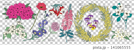 様々な花のグラフィック素材(シャクナゲ、梨、ポピー、アスター、バーベナ、フクシア、金魚草、ミモザ、ビ 様々な花のグラフィック素材(シャクナゲ、梨、ポピー、アスター、バーベナ、フクシア、金魚草、ミモザ、ビ 141065555