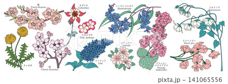 様々な花のグラフィック素材(桃、タンポポ、桜、オダマキ、クモマグサ、ライラック、ハーデンベルギア、レ 様々な花のグラフィック素材(桃、タンポポ、桜、オダマキ、クモマグサ、ライラック、ハーデンベルギア、レ 141065556