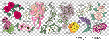各種花卉圖案材質(玫瑰、紅三葉草、絨毛花、牡丹、鬱金香、鈴蘭、馬蹄蓮等) 各種花卉圖案材質(玫瑰、紅三葉草、絨毛花、牡丹、鬱金香、鈴蘭、馬蹄蓮等) 141065557