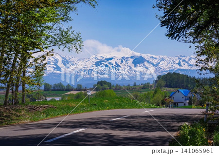 残雪に覆われた十勝岳連邦を望む初夏の美瑛 ( 北海道 美瑛町 ) 残雪に覆われた十勝岳連邦を望む初夏の美瑛 ( 北海道 美瑛町 ) 141065961