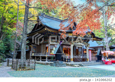 紅葉の宝登山神社 紅葉の宝登山神社 141066202