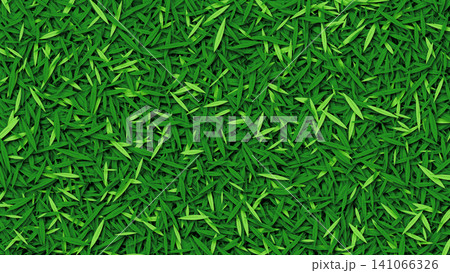 green grass background from natural 141066326