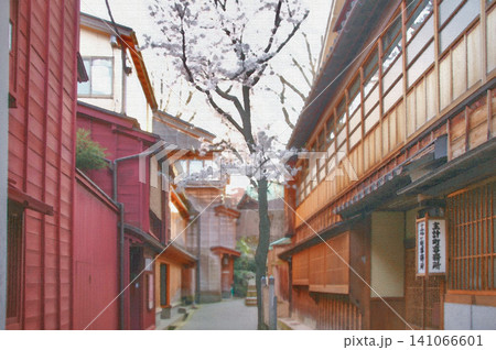 歴史ある木造建築の家並みの間に凛と咲き誇る美しい一本の桜 歴史ある木造建築の家並みの間に凛と咲き誇る美しい一本の桜 141066601
