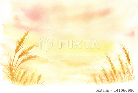水彩で描いた夕焼けの麦畑 水彩で描いた夕焼けの麦畑 141066980