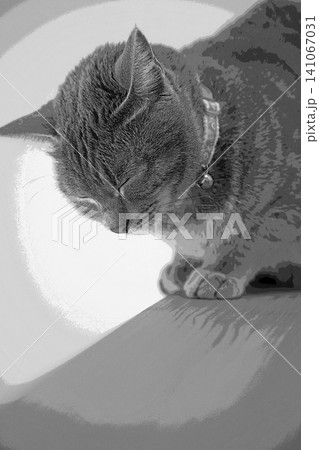 スケッチ風 猫 ネコ ねこ キジトラ グレー 雌 メス 雌ねこ 雌ネコ 元気 かわいい 癒し 141067031