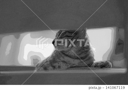 スケッチ風 猫 ネコ ねこ キジトラ グレー 雌 メス 雌ねこ 雌ネコ 元気 かわいい 癒し スケッチ風 猫 ネコ ねこ キジトラ グレー 雌 メス 雌ねこ 雌ネコ 元気 かわいい 癒し 141067119