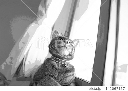 スケッチ風 猫 ネコ ねこ キジトラ グレー 雌 メス 雌ねこ 雌ネコ 元気 かわいい 癒し スケッチ風 猫 ネコ ねこ キジトラ グレー 雌 メス 雌ねこ 雌ネコ 元気 かわいい 癒し 141067137