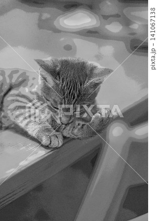 スケッチ風 猫 ネコ ねこ キジトラ グレー 雌 メス 雌ねこ 雌ネコ 元気 かわいい 癒し スケッチ風 猫 ネコ ねこ キジトラ グレー 雌 メス 雌ねこ 雌ネコ 元気 かわいい 癒し 141067138