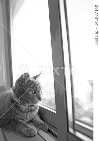 スケッチ風 猫 ネコ ねこ キジトラ グレー 雌 メス 雌ねこ 雌ネコ 元気 かわいい 癒し スケッチ風 猫 ネコ ねこ キジトラ グレー 雌 メス 雌ねこ 雌ネコ 元気 かわいい 癒し 141067140