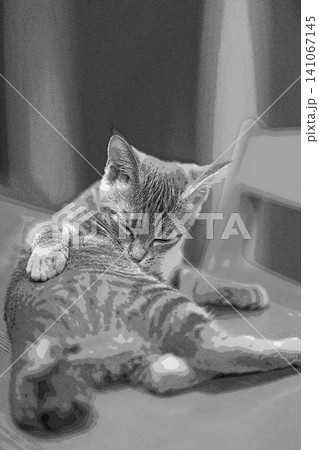 スケッチ風 猫 ネコ ねこ キジトラ グレー 雌 メス 雌ねこ 雌ネコ 元気 かわいい 癒し 141067145