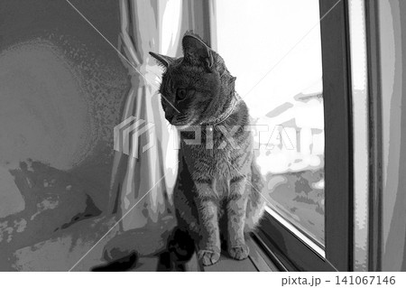 スケッチ風 猫 ネコ ねこ キジトラ グレー 雌 メス 雌ねこ 雌ネコ 元気 かわいい 癒し 141067146