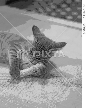 スケッチ風 猫 ネコ ねこ キジトラ グレー 雌 メス 雌ねこ 雌ネコ 元気 かわいい 癒し スケッチ風 猫 ネコ ねこ キジトラ グレー 雌 メス 雌ねこ 雌ネコ 元気 かわいい 癒し 141067186