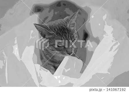 スケッチ風 猫 ネコ ねこ キジトラ グレー 雌 メス 雌ねこ 雌ネコ 元気 かわいい 癒し 141067192