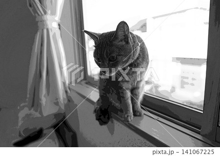 スケッチ風 猫 ネコ ねこ キジトラ グレー 雌 メス 雌ねこ 雌ネコ 元気 かわいい 癒し 141067225