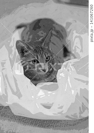 スケッチ風 猫 ネコ ねこ キジトラ グレー 雌 メス 雌ねこ 雌ネコ 元気 かわいい 癒し 141067260