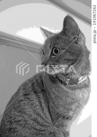 スケッチ風 猫 ネコ ねこ キジトラ グレー 雌 メス 雌ねこ 雌ネコ 元気 かわいい 癒し スケッチ風 猫 ネコ ねこ キジトラ グレー 雌 メス 雌ねこ 雌ネコ 元気 かわいい 癒し 141067262
