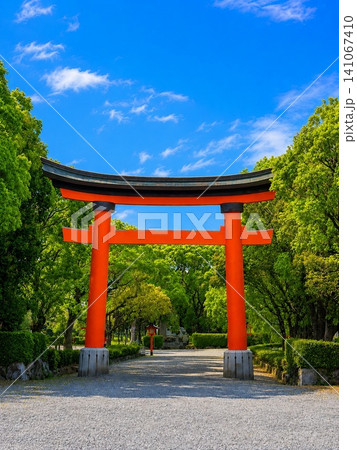 青空に映える朱色の鳥居と緑豊かな神社参道の風景 青空に映える朱色の鳥居と緑豊かな神社参道の風景 141067410