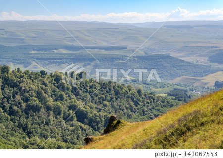 Summer Mountains Landscape with Green forest. Summer Mountains Landscape with Green forest. 141067553