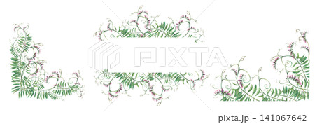 Flowering tufted vetch, Vicia cracca, wild vetch, bird vetch and mouse pea vines floral frames, banner. Hand painted Wildflowers climbing twig template watercolor isolated on white illustration 141067642