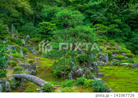 滋賀県 米原市 青岸寺庭園 滋賀県 米原市 青岸寺庭園 141067726