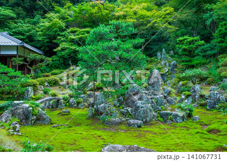 滋賀県 米原市 青岸寺庭園 滋賀県 米原市 青岸寺庭園 141067731