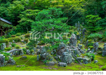 滋賀県 米原市 青岸寺庭園 滋賀県 米原市 青岸寺庭園 141067733