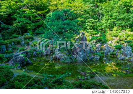 滋賀県 米原市 青岸寺庭園 雨上がりに現れる池泉庭園 滋賀県 米原市 青岸寺庭園 雨上がりに現れる池泉庭園 141067830