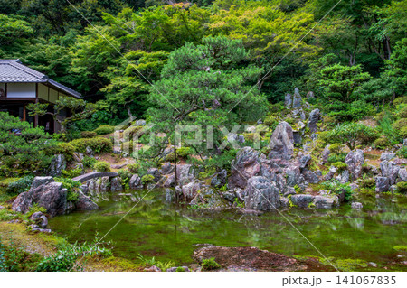 滋賀県 米原市 青岸寺庭園 雨上がりに現れる池泉庭園 滋賀県 米原市 青岸寺庭園 雨上がりに現れる池泉庭園 141067835