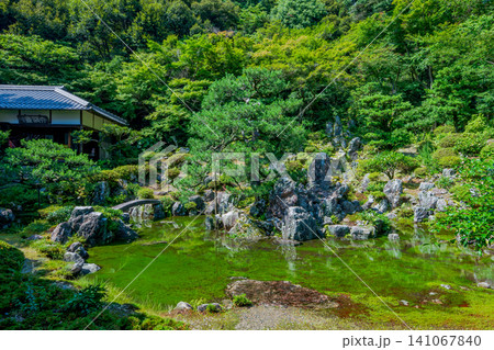 滋賀県 米原市 青岸寺庭園 雨上がりに現れる池泉庭園 滋賀県 米原市 青岸寺庭園 雨上がりに現れる池泉庭園 141067840