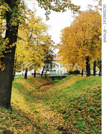 Bright golden autumn: a stream surrounded by yellow trees and green grass Bright golden autumn: a stream surrounded by yellow trees and green grass 141068250