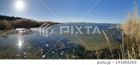 A bright sunny day over a freezing pond with tall withered grass A bright sunny day over a freezing pond with tall withered grass 141068269