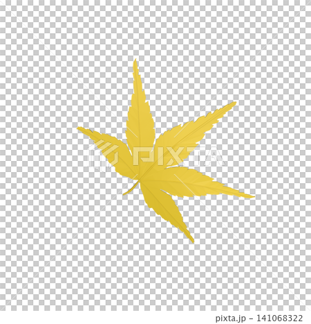 一片黃色的楓葉，背景透明。 141068322