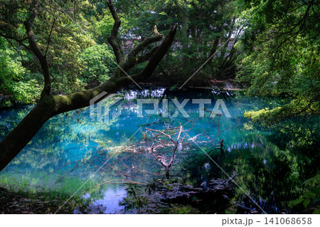 神秘の泉 丸池様 山形県庄内 神秘の泉 丸池様 山形県庄内 141068658