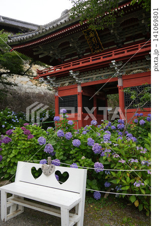 仁王門と紫陽花 仁王門と紫陽花 141069801