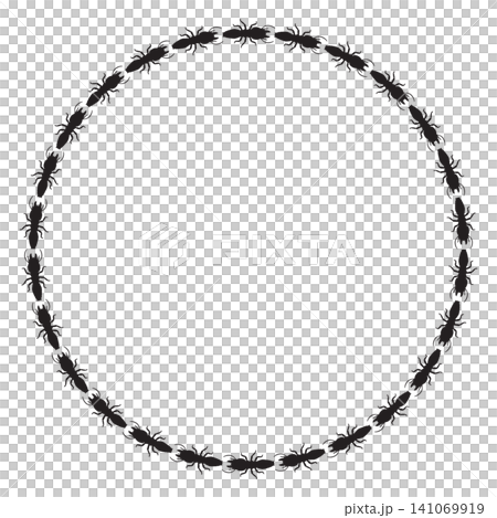 Termite border circle 141069919