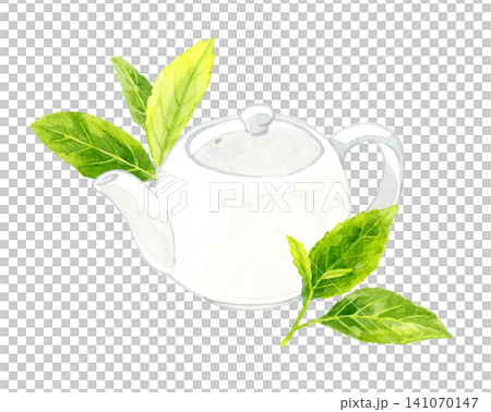 茶壺與綠茶葉 - 手繪水彩插畫素材 茶壺與綠茶葉 - 手繪水彩插畫素材 141070147